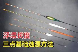 浮漂长度尺寸不同，钓鱼该怎么选？3点基础选漂方法不妨参考视频封面