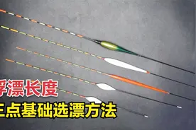 浮漂长度尺寸不同，钓鱼该怎么选？3点基础选漂方法不妨参考视频封面
