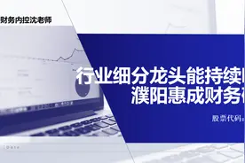 100家上市公司财务研报挑战-濮阳惠成（300481）视频封面