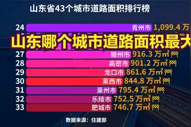 山东省43个城市道路面积排行榜，猜猜山东哪个城市道路面积最大？视频封面