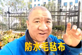 我自制的“大棚保温被”怕不怕雨淋？为什么？把原材料拍给您看看视频封面