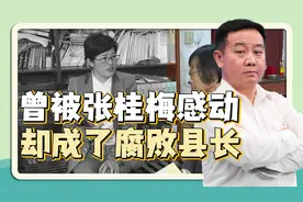 县长被张桂梅校长感动，却伸手脱贫资金？储朝晖：撕下伪装者面具