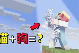 猫和狗结婚会生出什么动物？视频封面