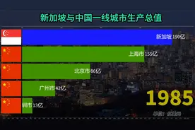 中国四大一线城市对比新加坡经济，华人经济圈谁的实力更强？视频封面
