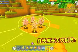 迷你世界高级生存27：4株桃树苗种在一起，是否能长成苍天大树呢