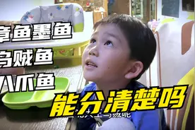 章鱼鱿鱼墨鱼八爪鱼乌贼鱼，能分清楚吗？视频封面