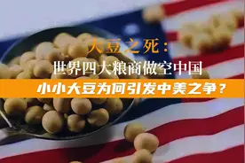 中美大豆之争：世界四大粮商做空中国，却为何兵败中储粮？视频封面