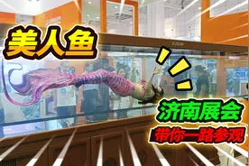 全国水族展会惊现美人鱼，稀奇古怪样样都有，龙鱼不知180卖不卖视频封面