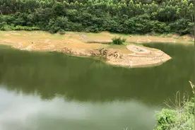 广东揭阳一明代古墓，池塘没水才重见天日，村民说不简单！视频封面