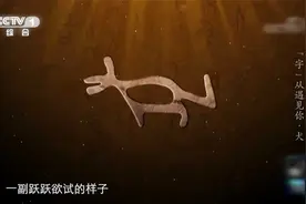 太形象啦！甲骨文犬字精准还原汪星人特征视频封面