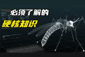 你想不到的灭蚊方式能有多硬核！视频封面