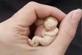 只有3厘米小的婴儿，出生就仅有拇指大小，被称为“拇指婴儿”视频封面