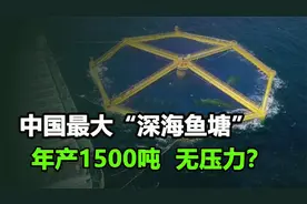 中国在黄海建全球最大“深海鱼塘”，年产1500吨，场面太壮观！视频封面