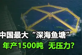 中国在黄海建全球最大“深海鱼塘”，年产1500吨，场面太壮观！视频封面