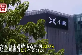 自主品牌成新能源销量赢家？专家：关键在于核心关键技术、零部件视频封面