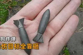 美军制造的奇葩武器，杀伤目标全靠砸，懒狗炸弹视频封面