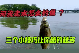今天才知道，走水的河流可以这样钓鱼，不但诱鱼快而且钓的多