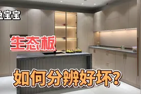 衣柜板材水太深！兔宝宝生态板做衣柜环保吗，不要盲目相信品牌视频封面