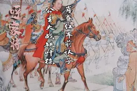 《呼家将》第61回 公主大战铁叶梅，肖赛红军前认子视频封面