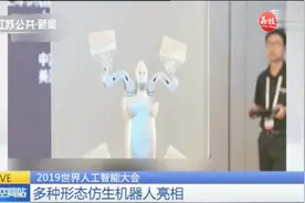 2019世界人工智能大会，多种形态仿生机器人亮相，壁虎小狗样样有视频封面