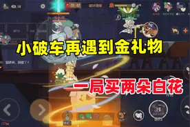 猫和老鼠手游：四排再遇到金礼物 都要输了还买白花视频封面