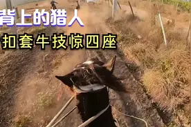 马背上的猎人本命神通，活扣套牛赏心悦目，第一人称视觉身临其境
