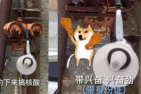 海南普通话版做核酸硬核喊话，魔性洗脑惹爆笑：叮咚鸡是什么鸡？视频封面