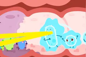 卡通:要多吃蔬菜增强体质,有益菌才能赶跑肚子里的坏细菌哦