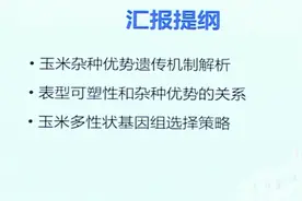 肖英杰老师：玉米杂种优势解析和基因组育种策略视频封面