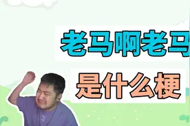 老马啊老马是什么梗？