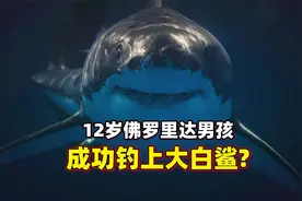 太牛了！12岁佛罗里达男孩，钓到317斤大白鲨！他是怎样做到的？视频封面
