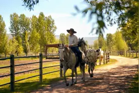 美中部世外桃源-犹他州雷加西牧场视频封面
