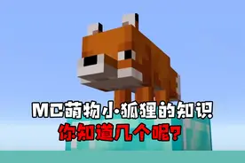 如何在MC中训养一只可爱的小狐狸？这些冷知识一定要知道