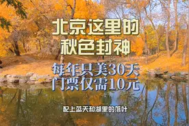 北京这里的秋色封神，每年只美30天，门票仅需10元视频封面