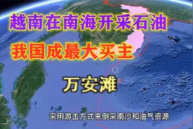 越南从南海挖走了多少石油？由贫油国变产油国，卖给我国最多视频封面