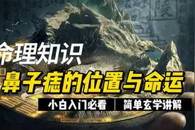 命理知识面相-鼻子痣的位置与命运视频封面