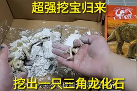 试玩“三角龙挖宝”，挖到一整只迷你三角龙，这是什么材质石头