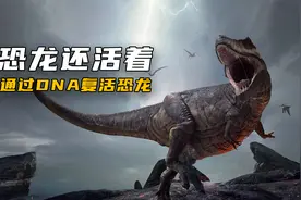 恐龙并没有全部灭绝，中科院找到恐龙DNA，通过倒推可以复活恐龙视频封面