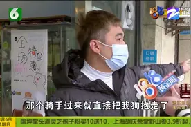 杭州：小狗跑丢了 监控看到骑手 主人发声：还我就好否则不会罢休视频封面