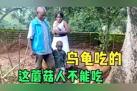 院里树下长出手掌大的蘑菇，中国老板想采了吃，非洲大叔却说不能视频封面