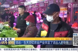 清远：五大百亿农业产业丰富了清远人的年味视频封面