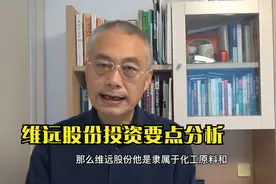 维远股份投资要点分析