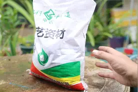 养多肉拌土铺面用什么？园艺师教你，使用火山岩，多肉植物都通用视频封面