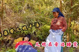 农村婆婆带儿媳妇上山干活，儿媳在旁边睡觉，看婆媳如何相处视频封面