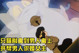 乱马1/2：一只猫附身到男人身上，并帮男人求婚女主视频封面