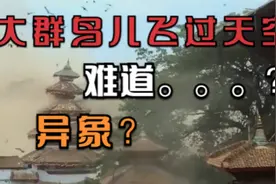 云南一大群鸟儿飞过天空，此等异象让人惊奇视频封面