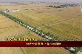 给农业发展插上科技的翅膀视频封面