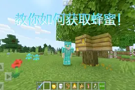 我的世界：21秒教你如何获取蜂蜜，蜜蜂真的很善良！