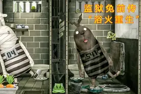 越狱兔 曾经的黑道大佬兔入狱，狱警都害怕见了腿发软！视频封面