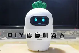用树莓派DIY一个语音对话机器人视频封面